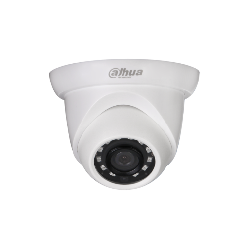 2MP IR Eyeball Network Kamera